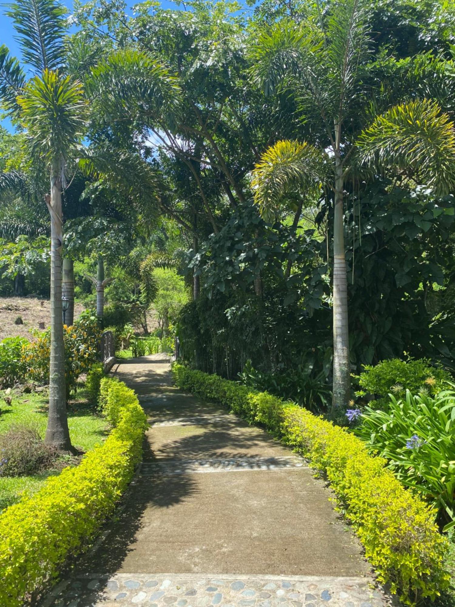 Hotel Boutique Casona Del Cafetal And Lakeside Restaurant Cachi ภายนอก รูปภาพ
